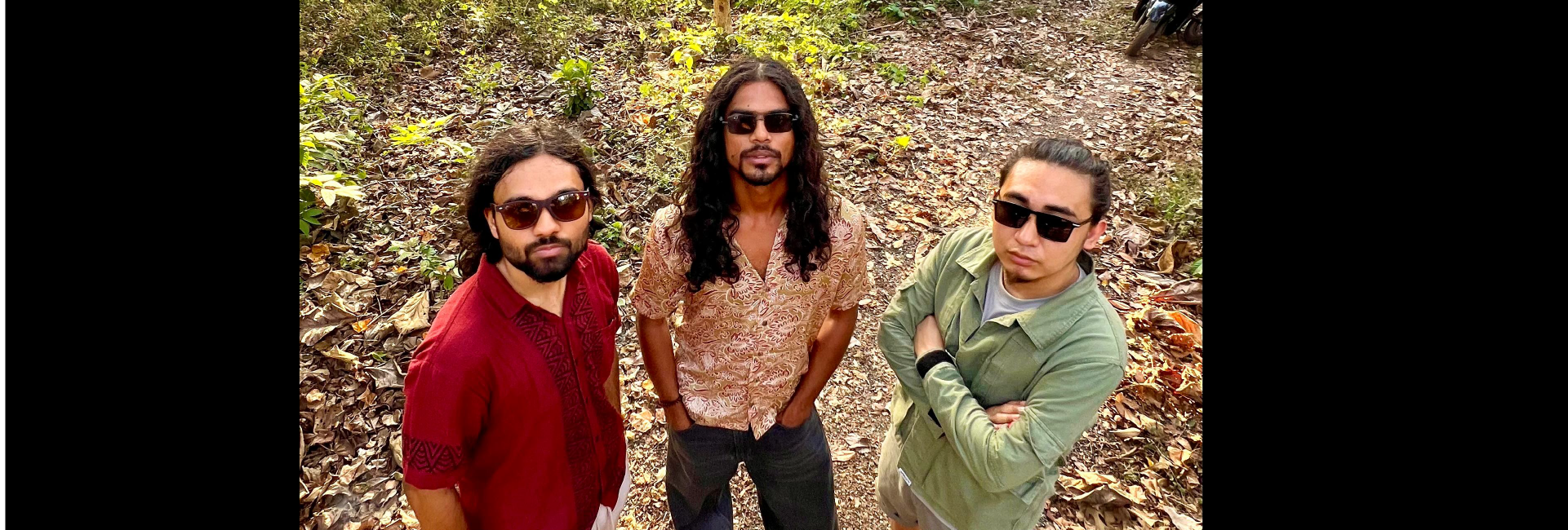 70s Rock Revival wiith The Arctic tern